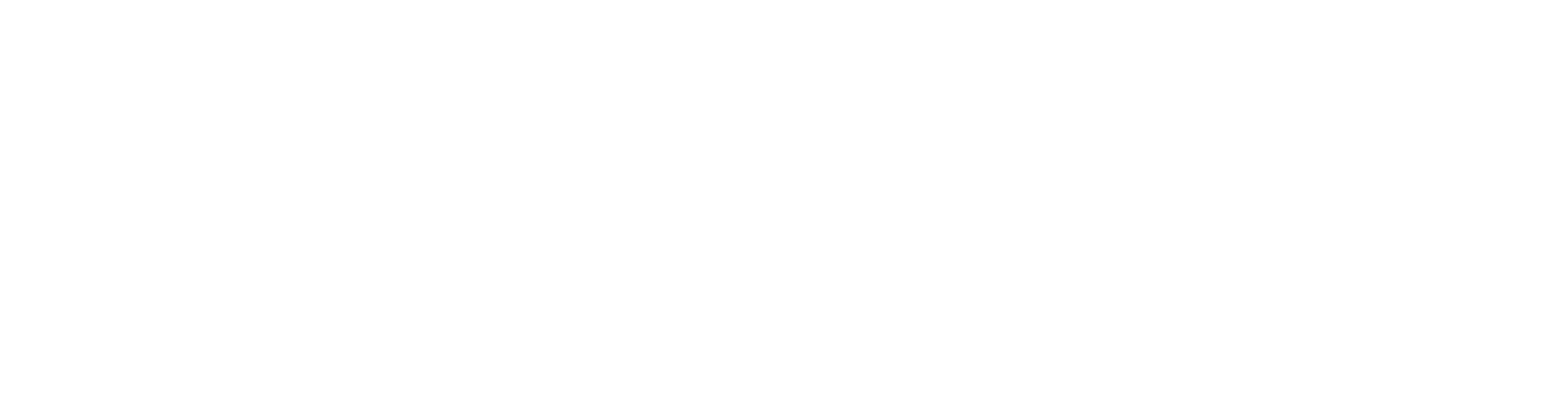 Recuperación Checa